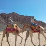 upscalemedia transformed (3)